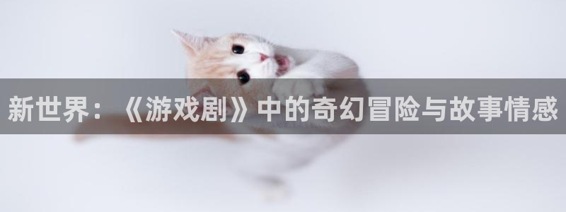 杏鑫娱乐客服：新世界：《游戏剧》中的奇幻冒险与故事情感