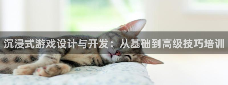 杏鑫app官方下载安装：沉浸式游戏设计与开发：从基础到高级技