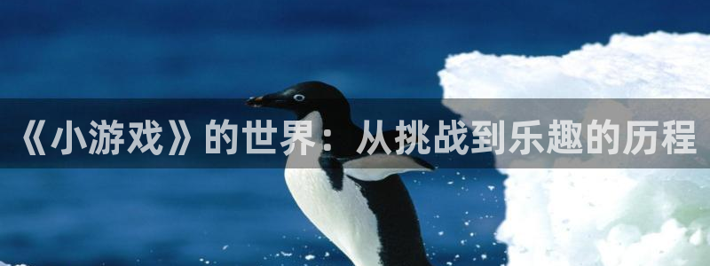 杏鑫代理注册：《小游戏》的世界：从挑战到乐趣的历程