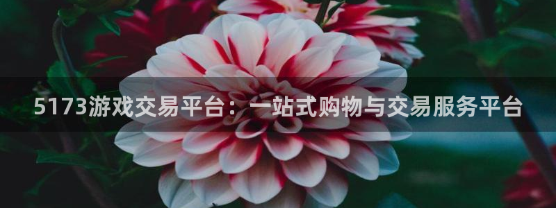 杏鑫代理：5173游戏交易平台：一站式购物与交易服务平台