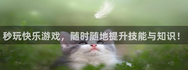 杏鑫平台官方网站入口：秒玩快乐游戏，随时随地提升技能与知识！