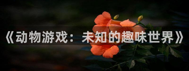 杏鑫注册登录平台是什么