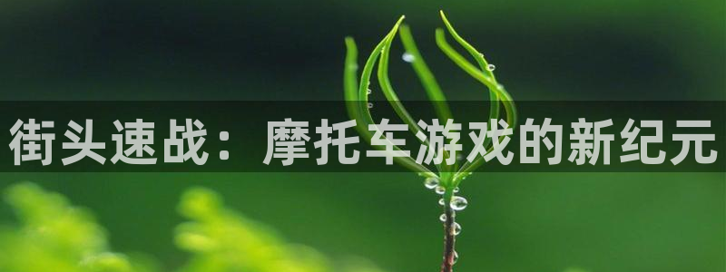 杏鑫平台正规吗