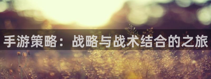 杏鑫平台待遇：手游策略：战略与战术结合的之旅