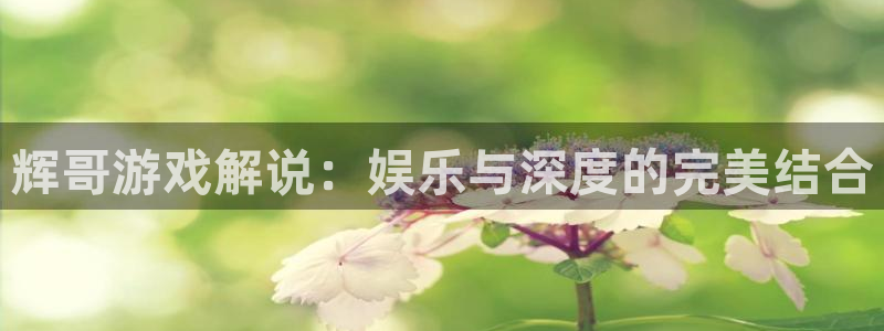 杏鑫平台官方网站地址：辉哥游戏解说：娱乐与深度的完美结合