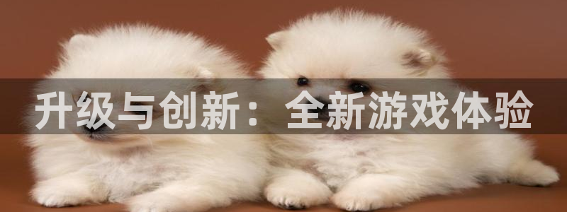 杏鑫登录注册测速：升级与创新：全新游戏体验