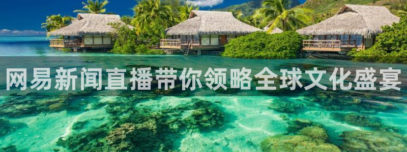 足球直播看球吧：网易新闻直播带你领略全球文化盛宴
